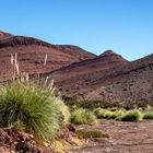 Laguna Brava - Überleben