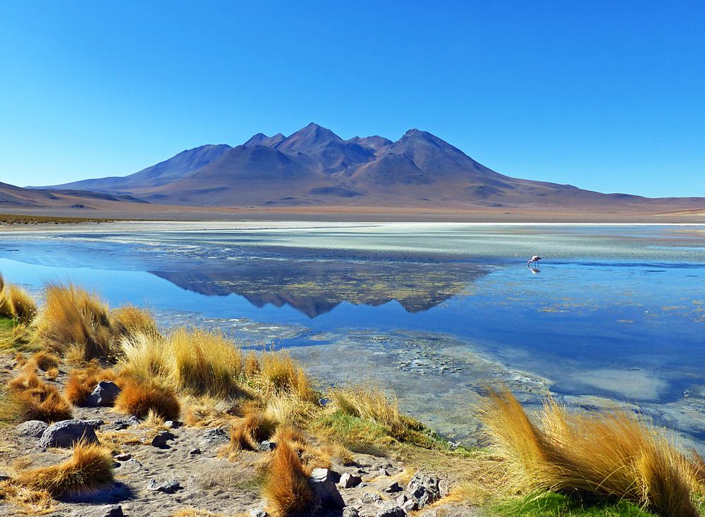 Laguna Cañapa