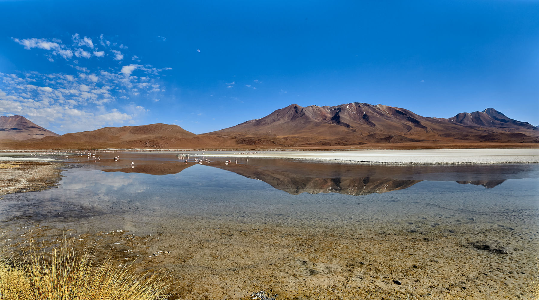 Laguna Canapa II Foto & Bild south america, landschaft, bolivia