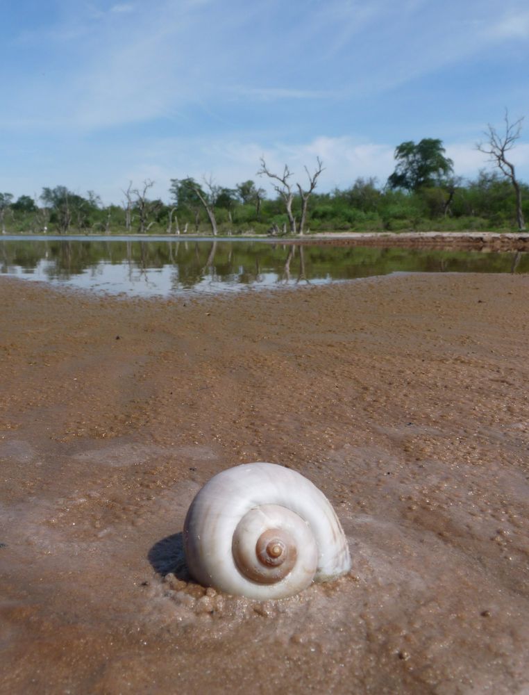 Laguna Capitan - Paraguay von Anke Vos 