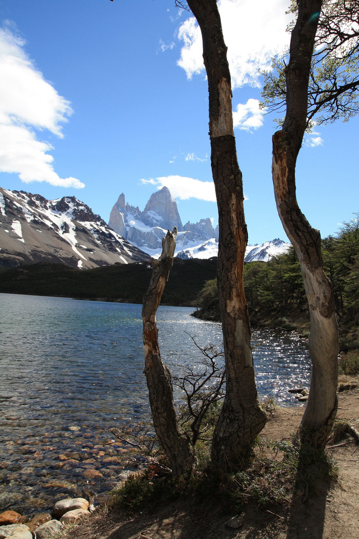 Laguna Capri am Fitz Roy