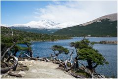 Laguna Capri - Patagonien