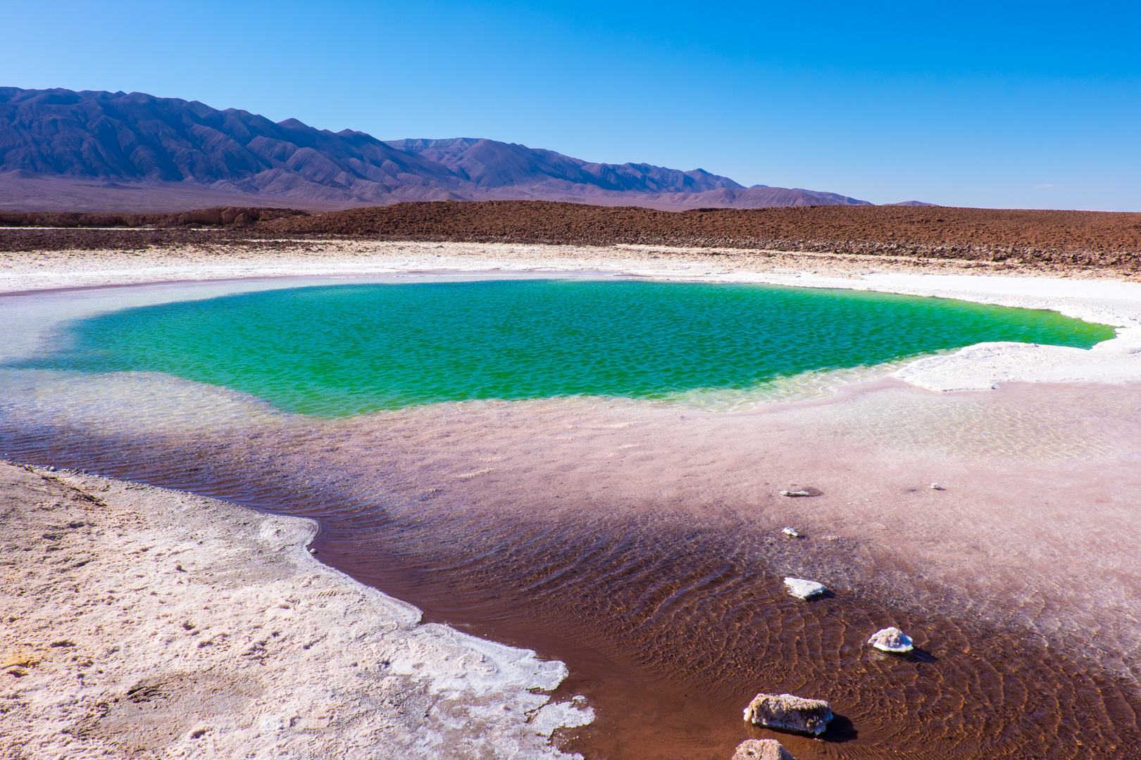 Laguna Cejar