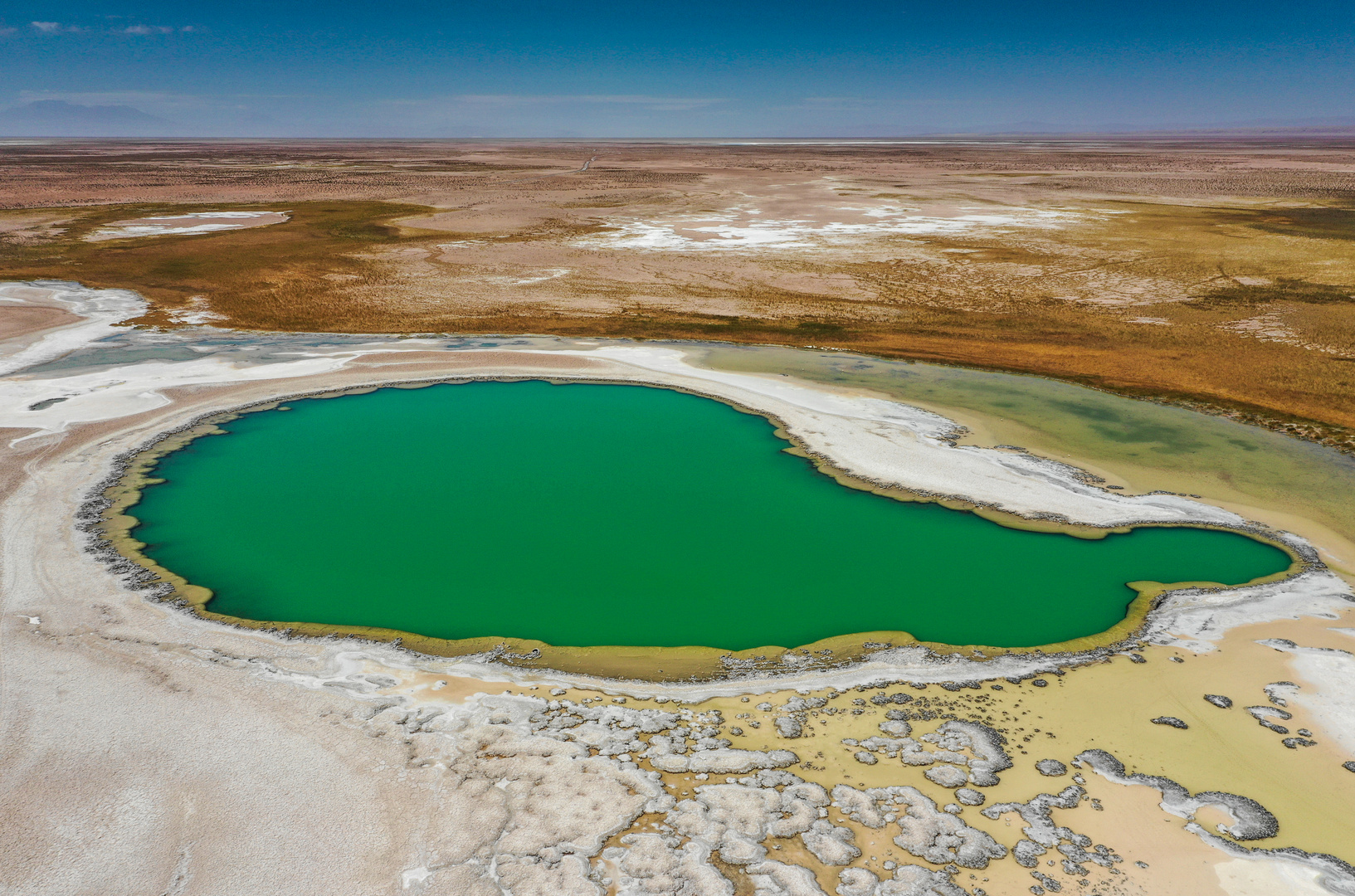 Laguna Cejar 1