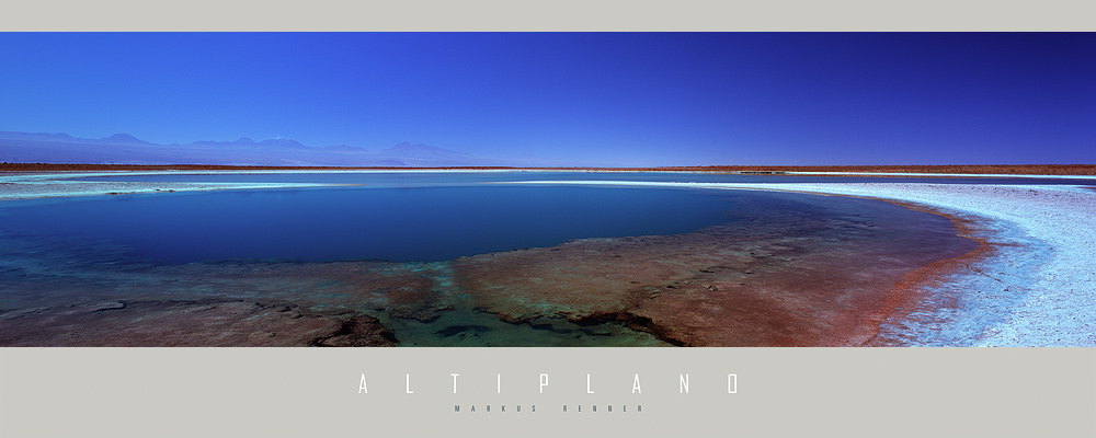 Laguna Cejar im Salar de Atacama mit Altiplano im HG