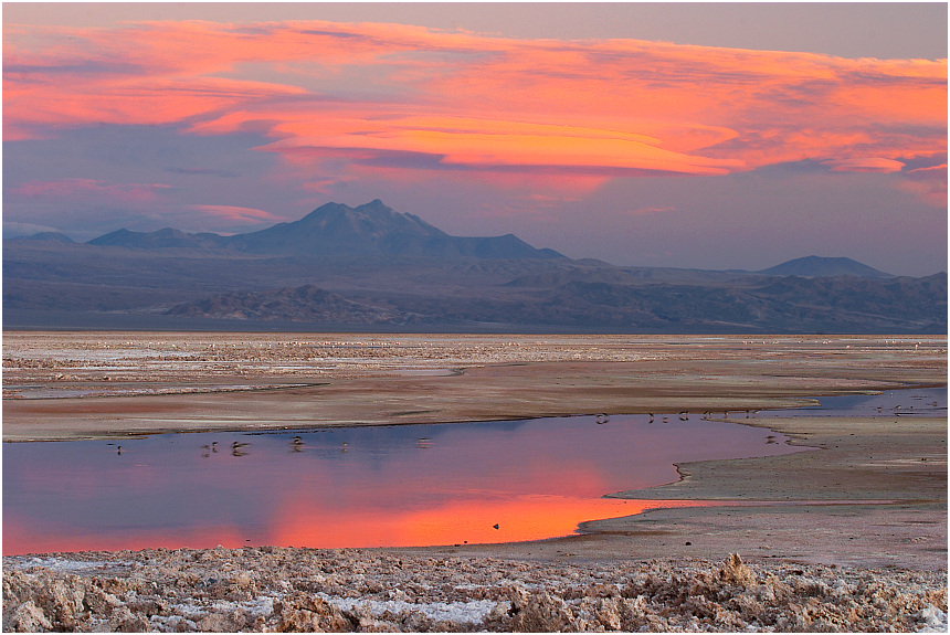 Laguna Chaxa, Atacama