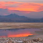 Laguna Chaxa, Atacama