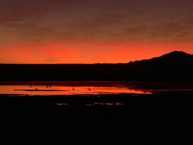 Laguna Chaxa