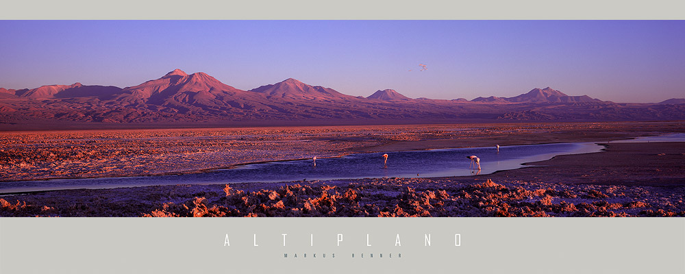 Laguna Chaxa mit Blick auf das Altiplano