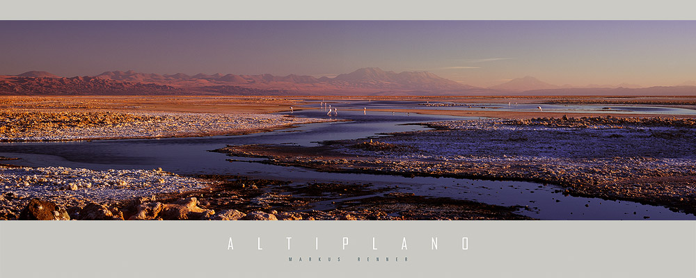 Laguna Chaxa mit Blick auf das Altiplano