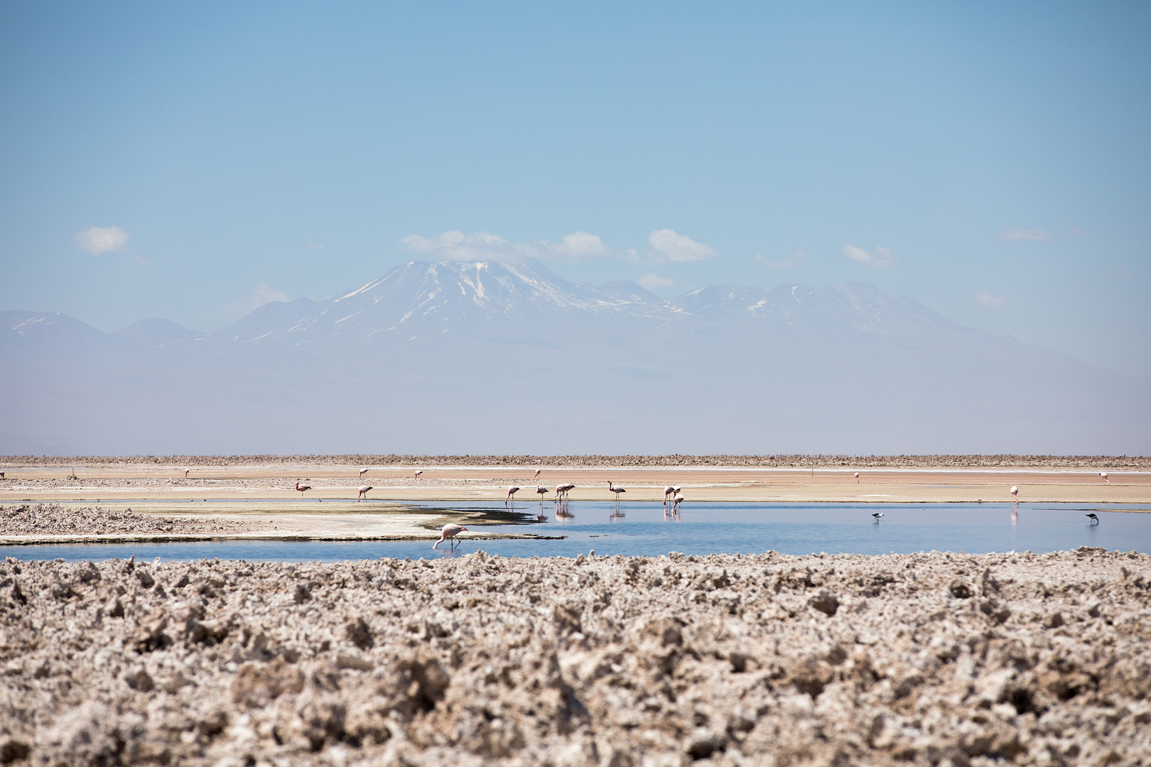 Laguna Chaxa Park