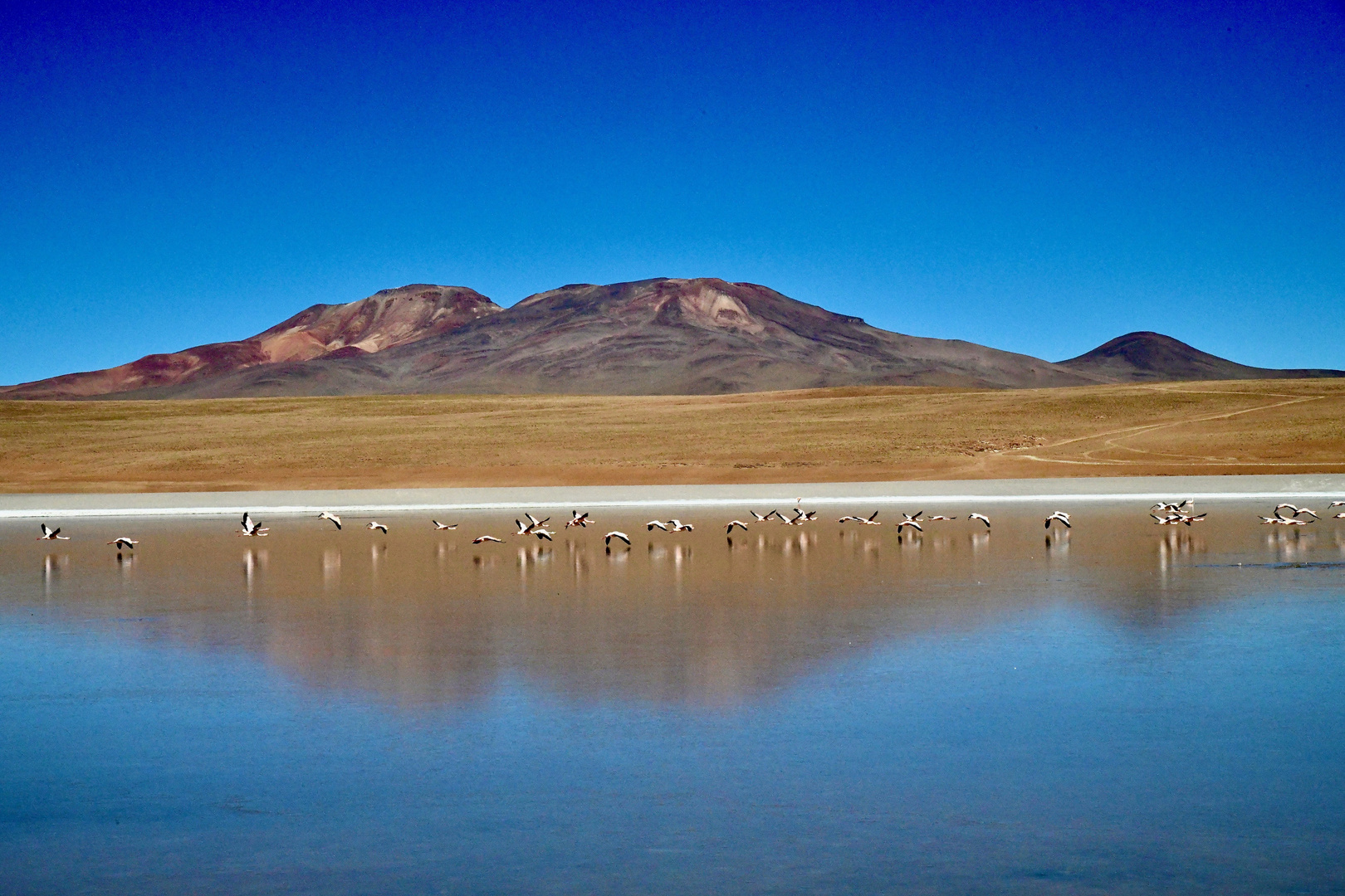 Laguna Chulluncani im Hochland von Bolivien