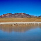 Laguna Chulluncani im Hochland von Bolivien