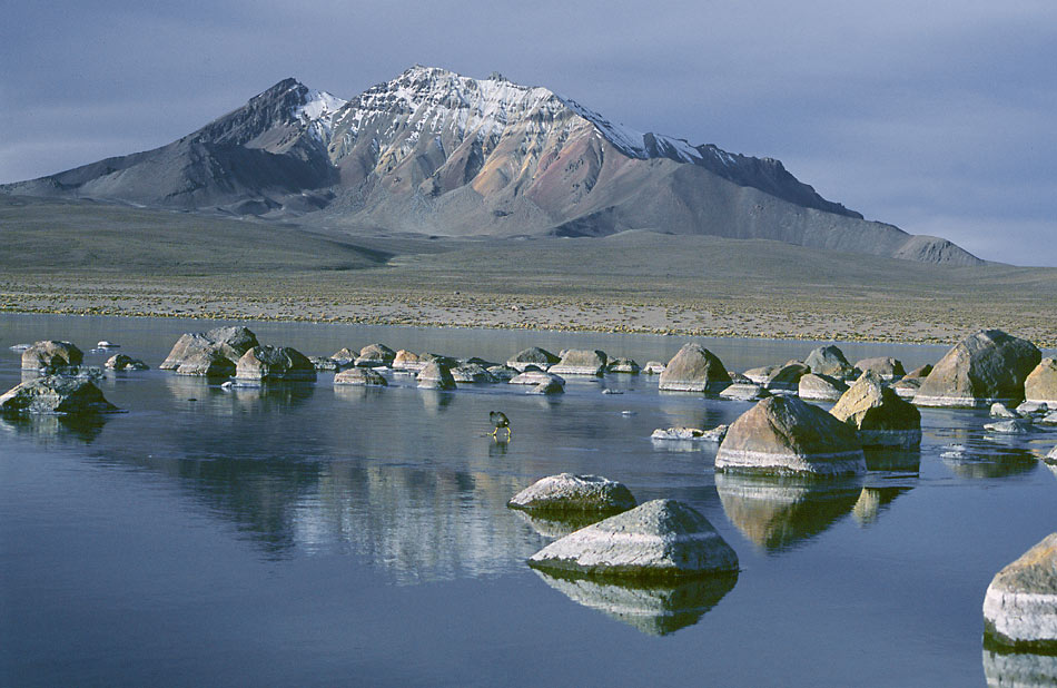 Laguna Chungara