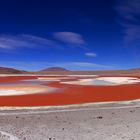 Laguna Colorada