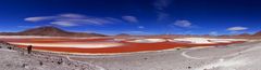 Laguna Colorada