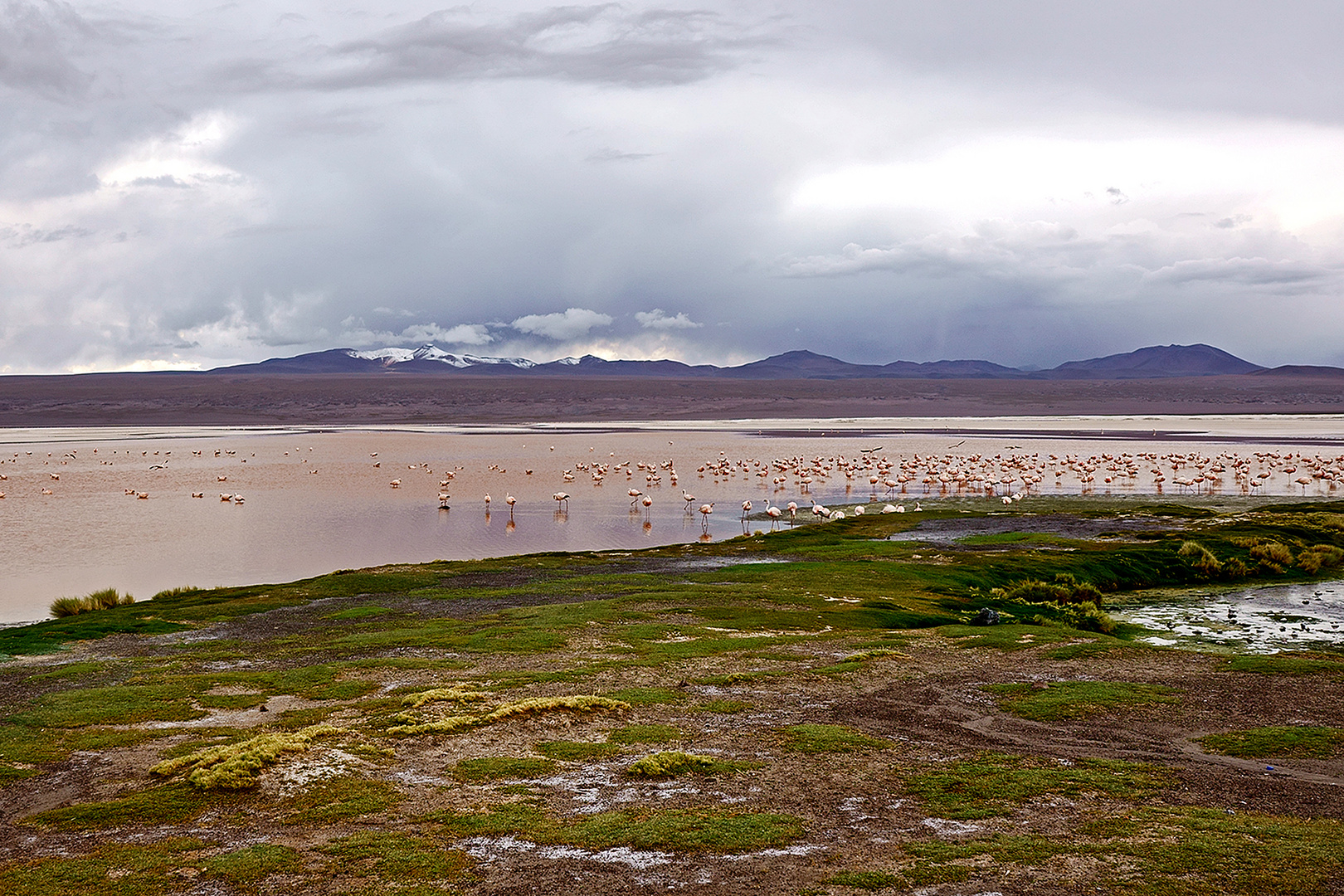 Laguna Colorada