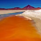 Laguna Colorada