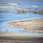 Laguna Colorada 