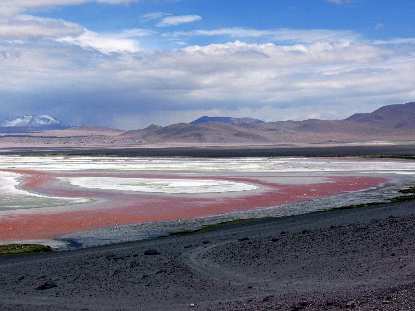 LAGUNA COLORADA