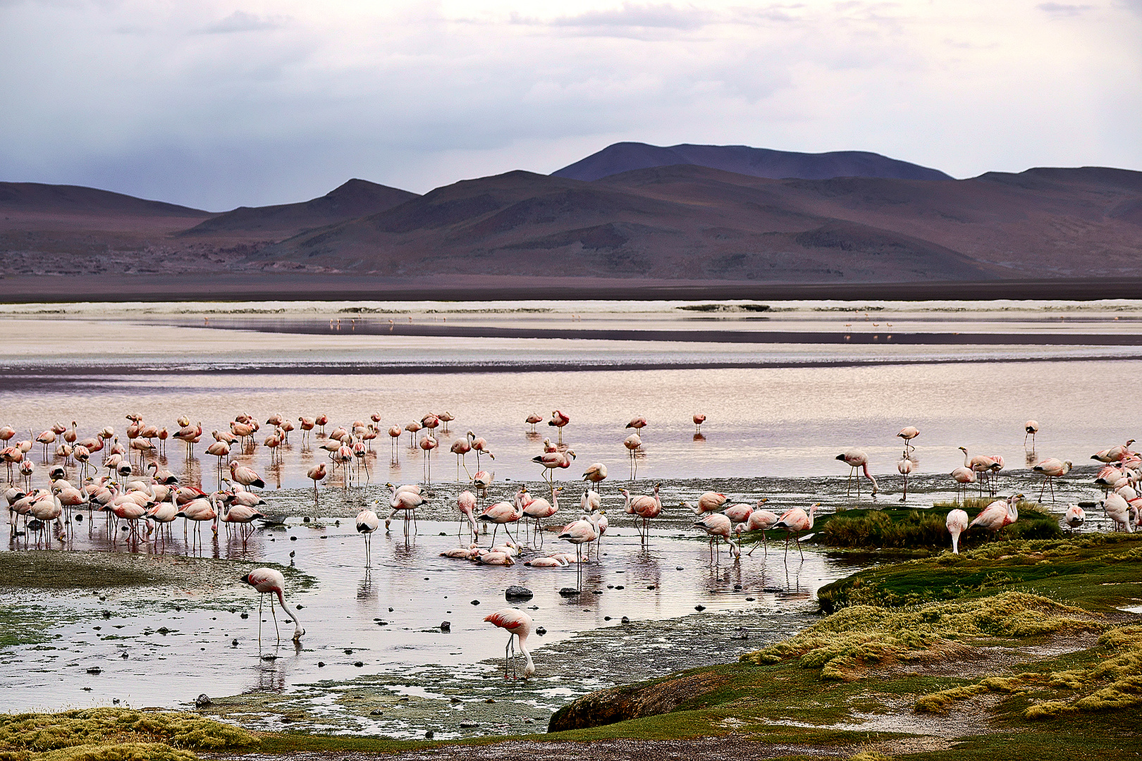 Laguna Colorada