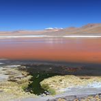 Laguna Colorada