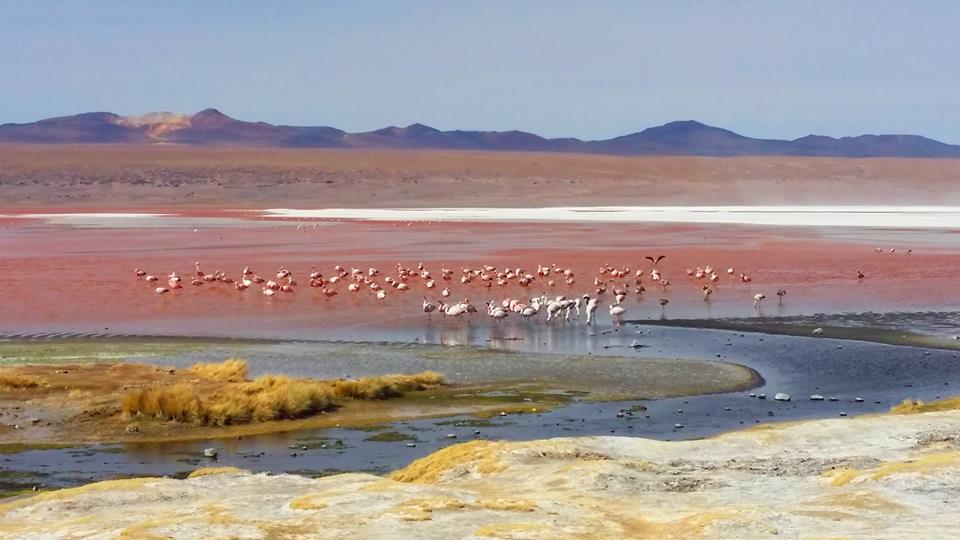 Laguna Colorada 2