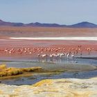 Laguna Colorada 2