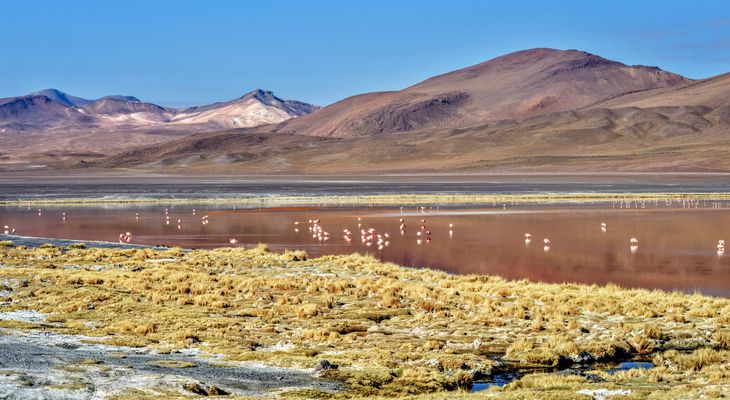 Laguna Colorada
