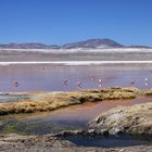 Laguna colorada