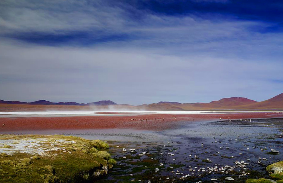 Laguna Colorada 3