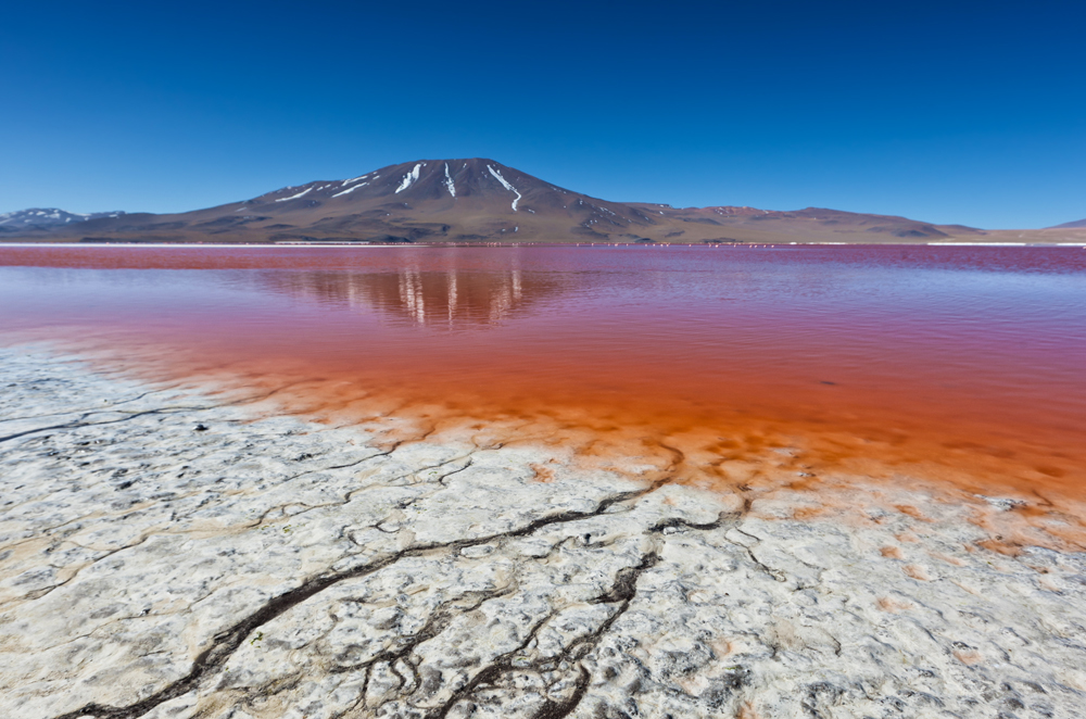 Laguna Colorada