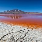 Laguna Colorada