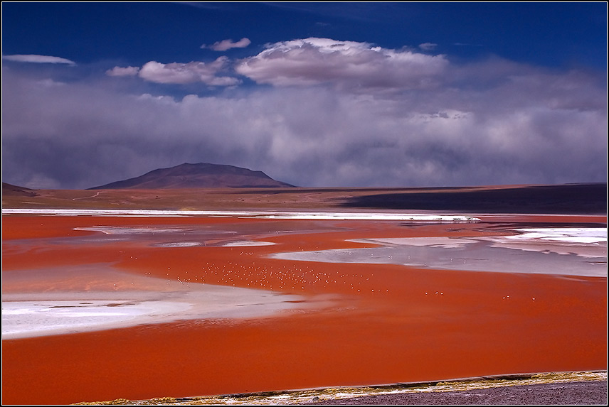 Laguna Colorada