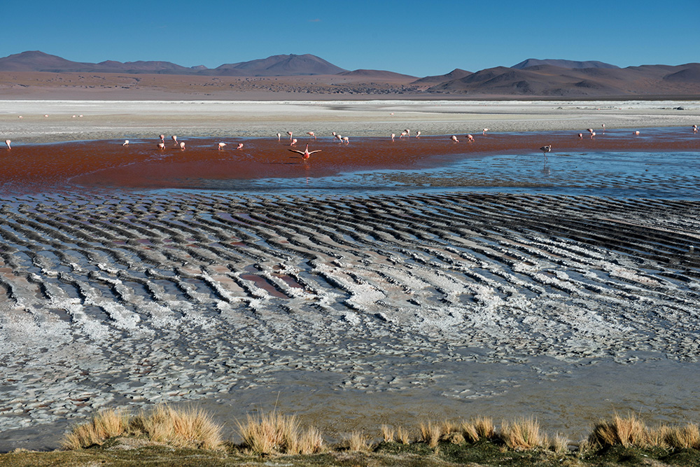 Laguna Colorada