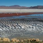 Laguna Colorada