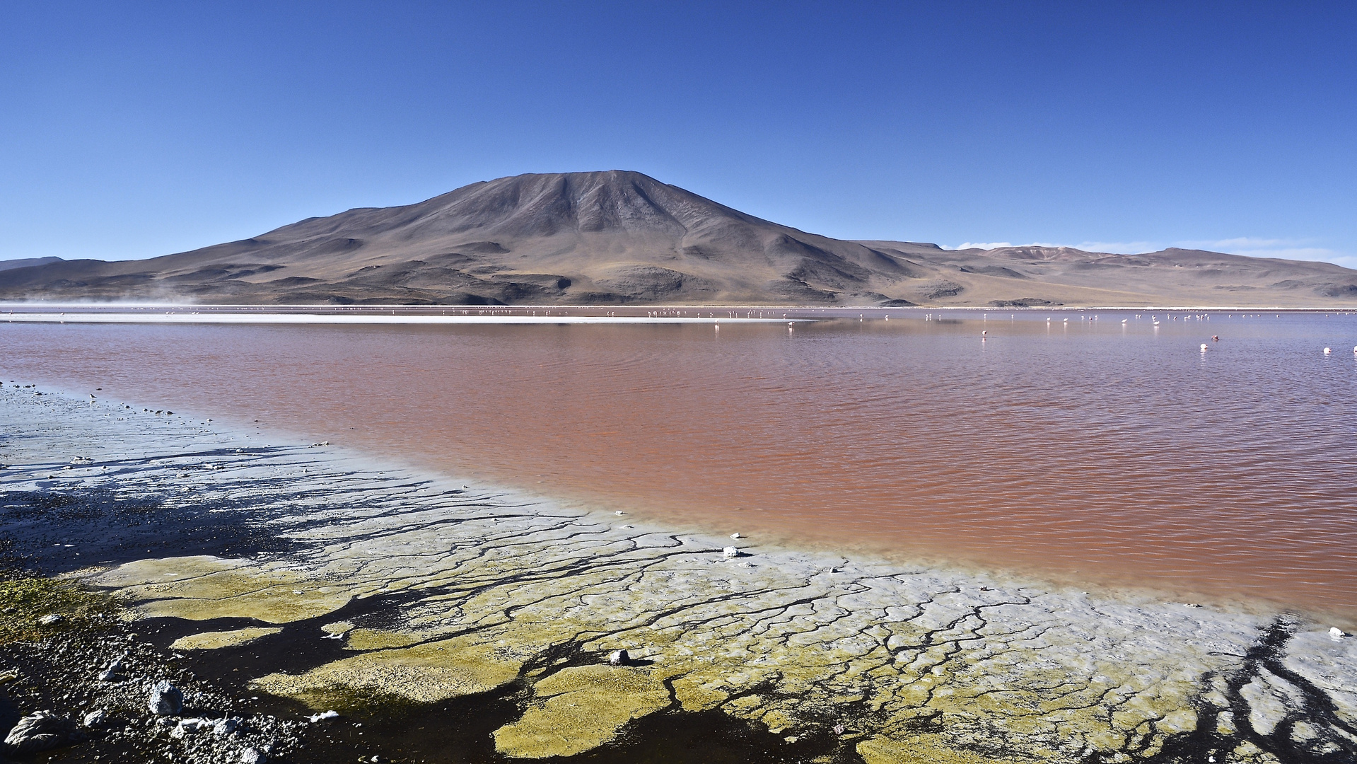 LAGUNA COLORADA