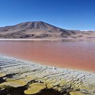 LAGUNA COLORADA