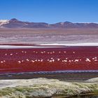 Laguna Colorada