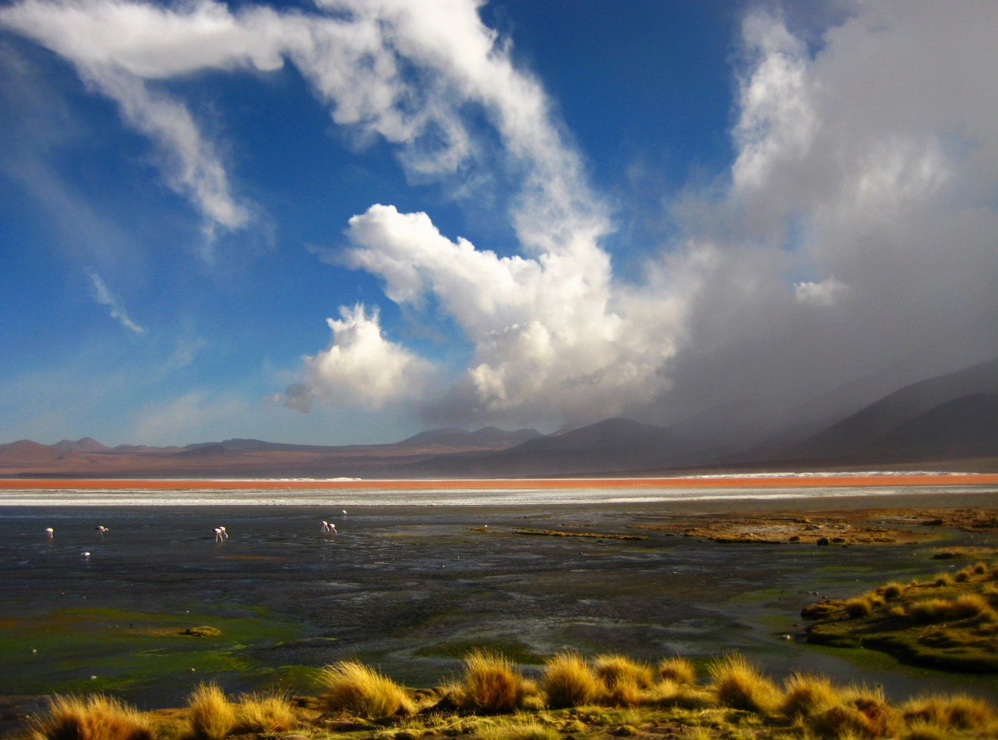 Laguna Colorada