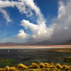 Laguna Colorada