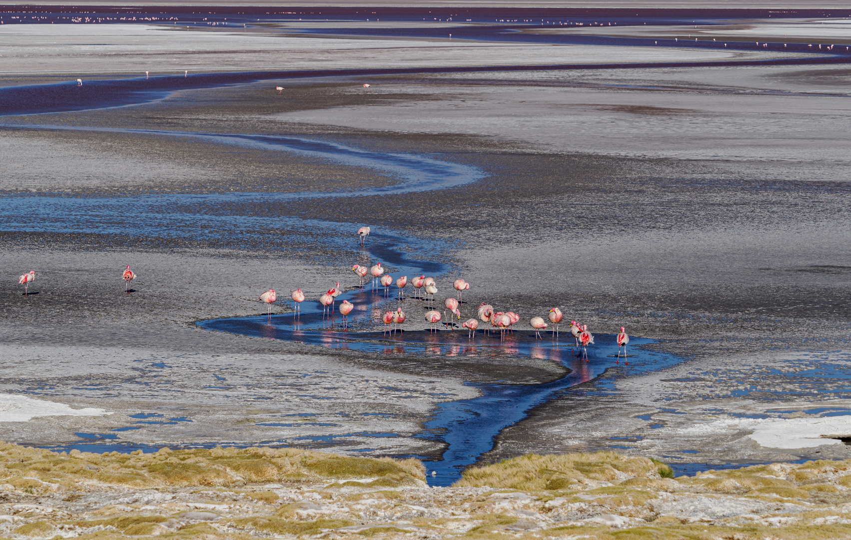 Laguna Colorada