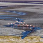 Laguna Colorada