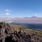 Laguna Colorada