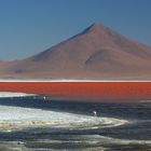 Laguna Colorada