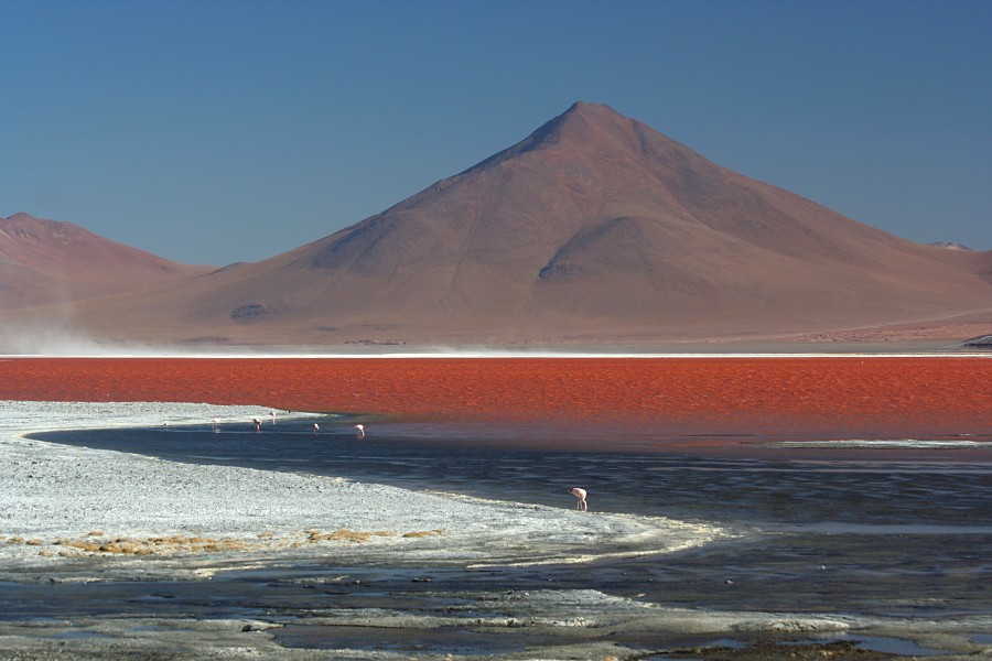 Laguna Colorada