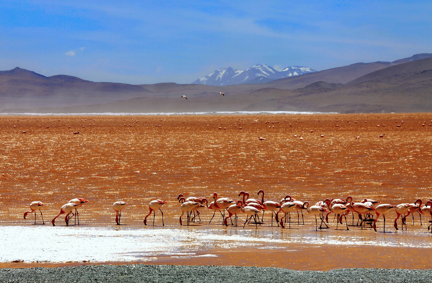 Laguna colorada