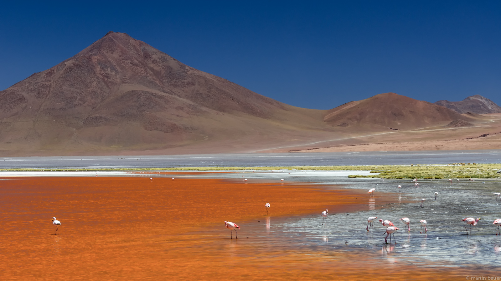 LAGUNA COLORADA