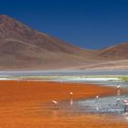 LAGUNA COLORADA