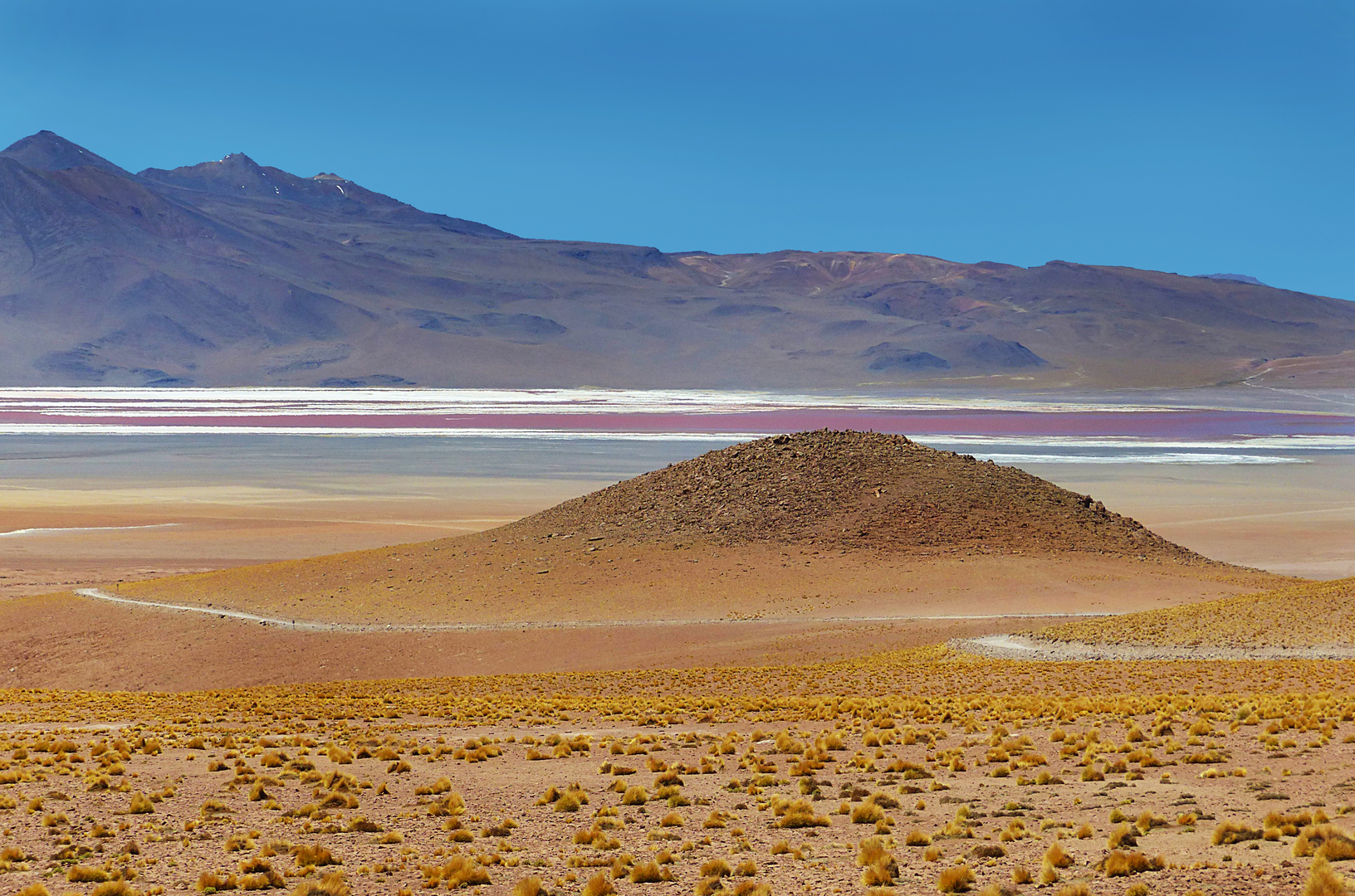 Laguna Colorada